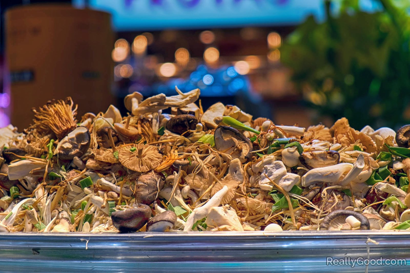 Assorted mushrooms