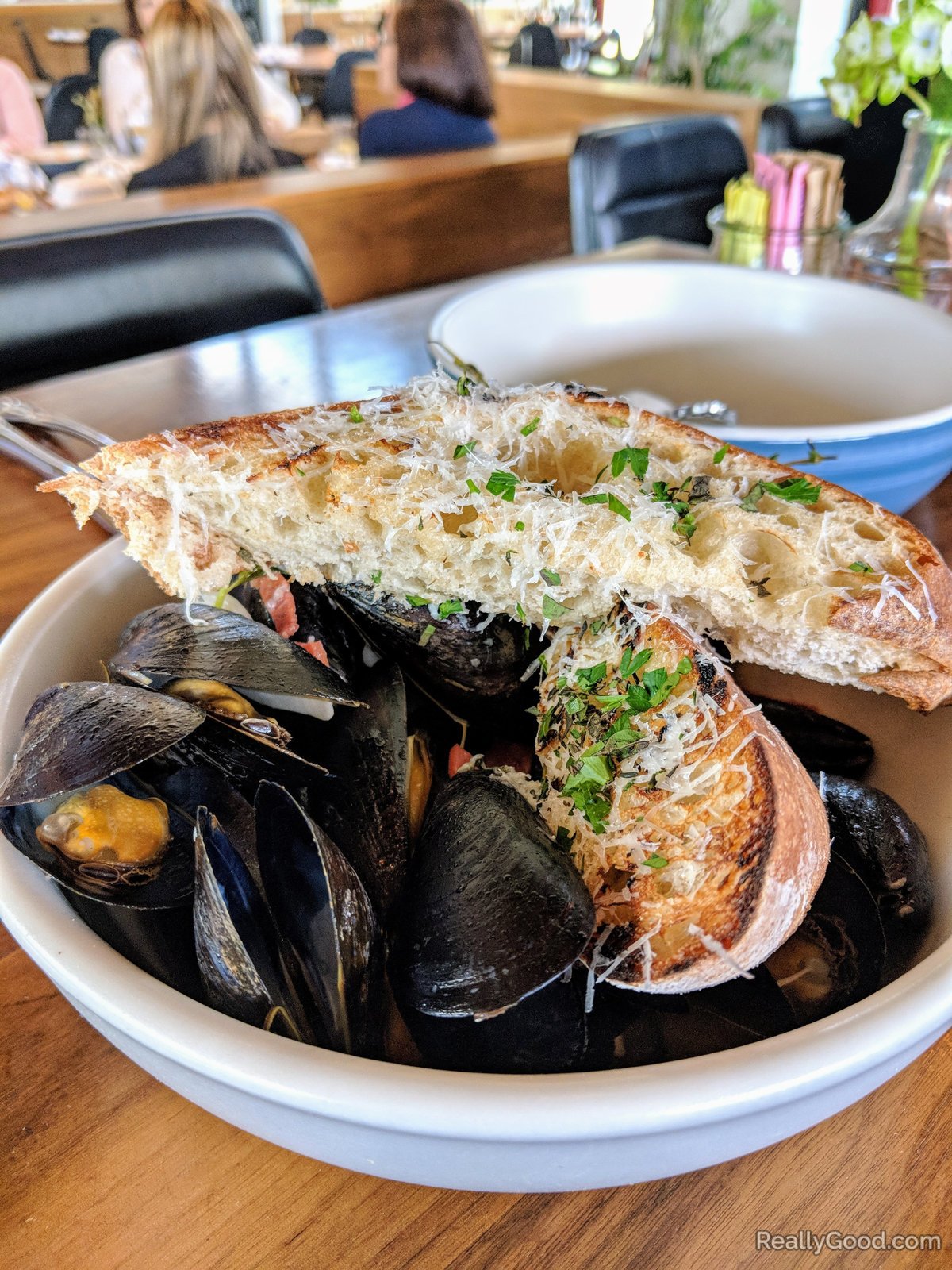 Black Mediterranean Mussels