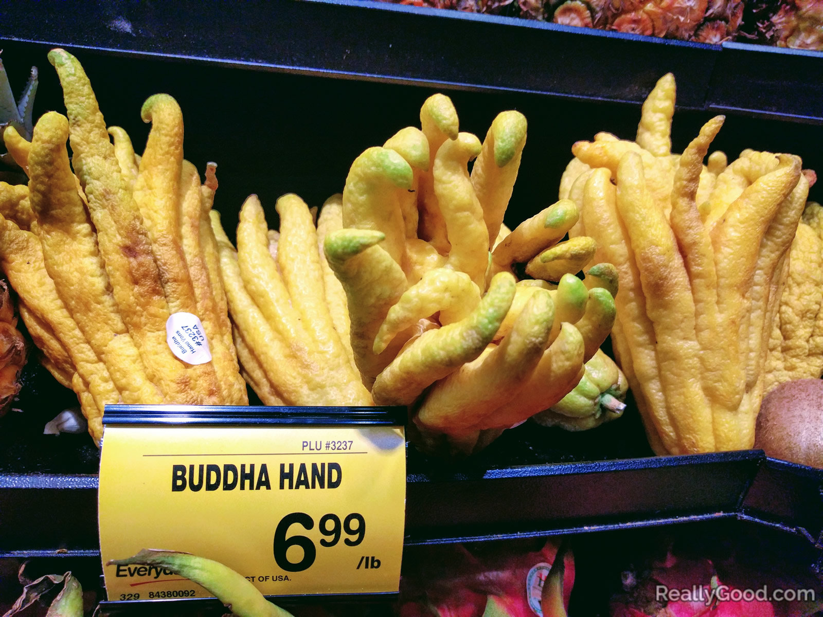 Buddha hand