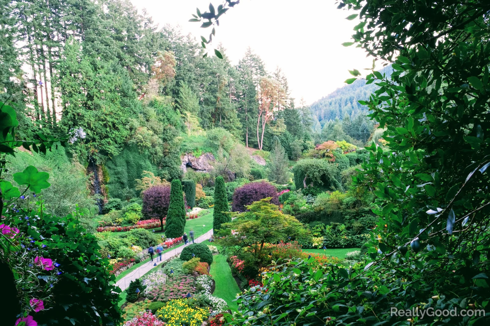 Butchart Gardens