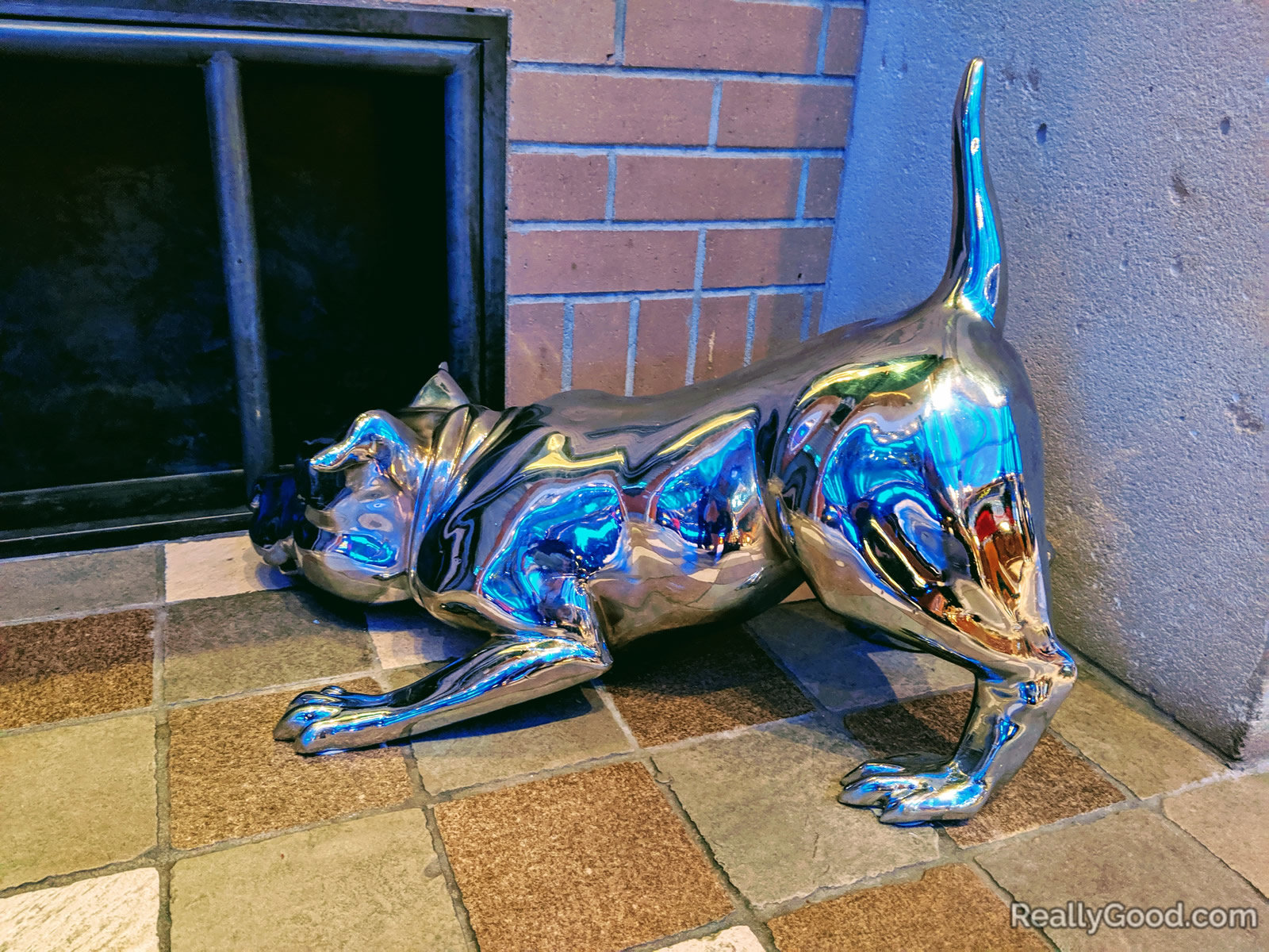 Chrome dog