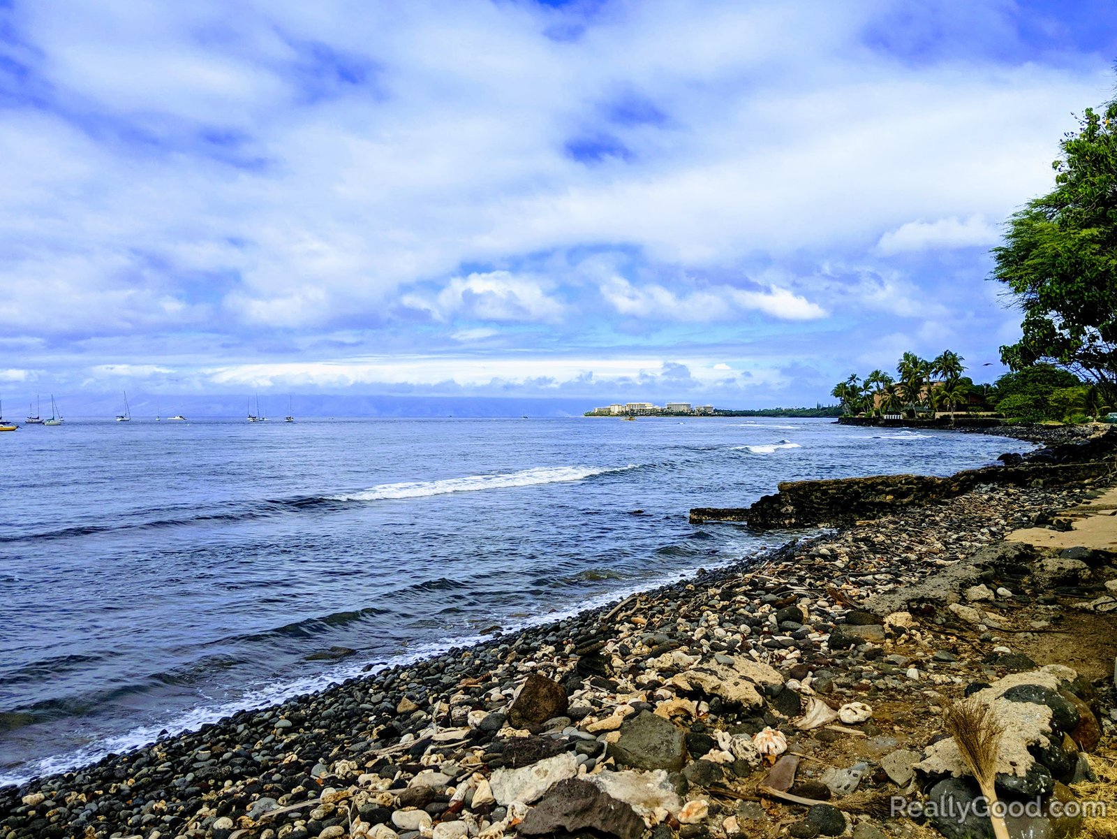 Coral beach, Maui