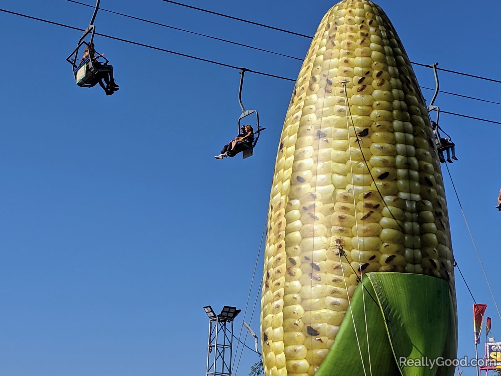 Corn on the cob