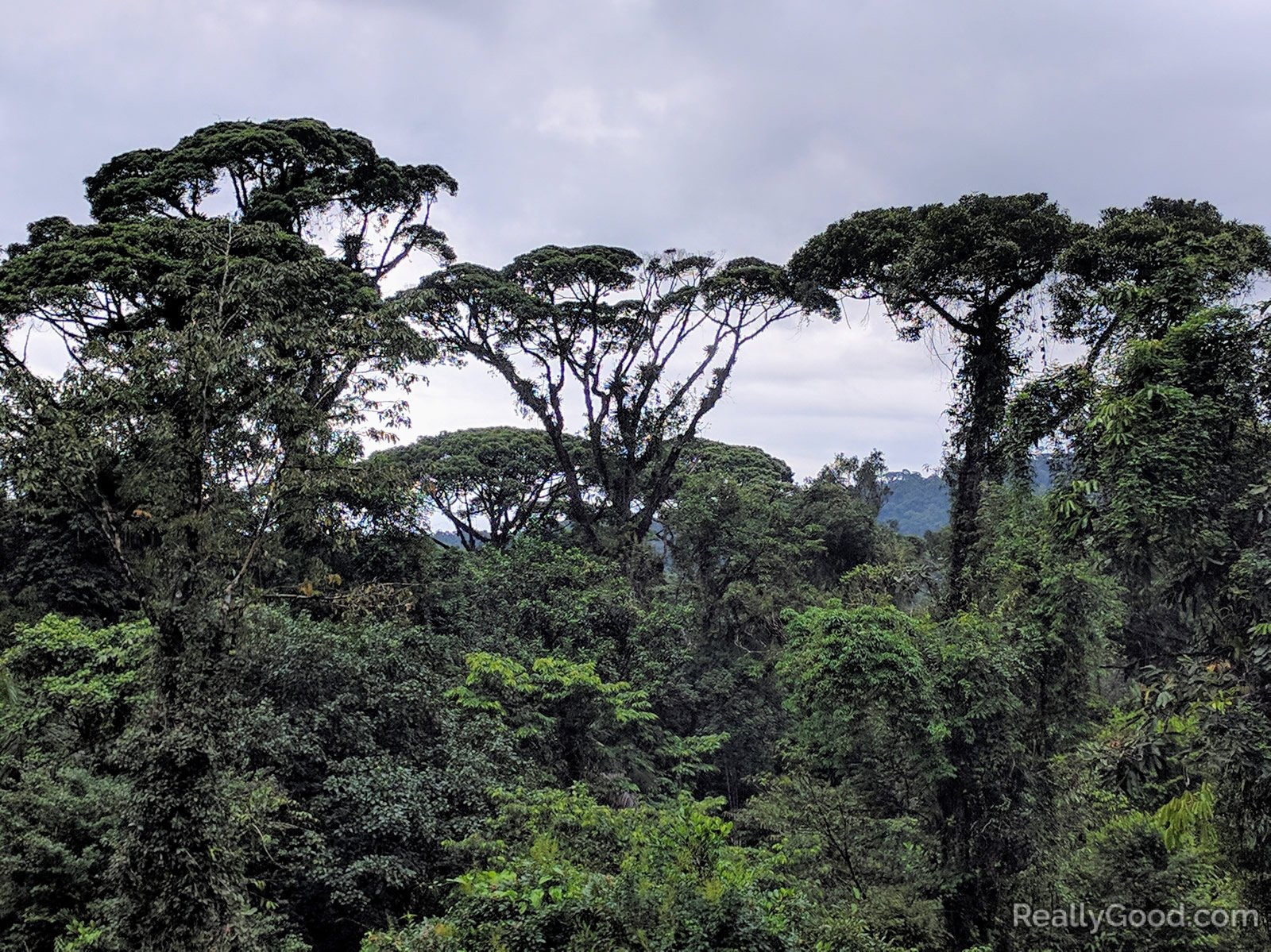 Costa Rica