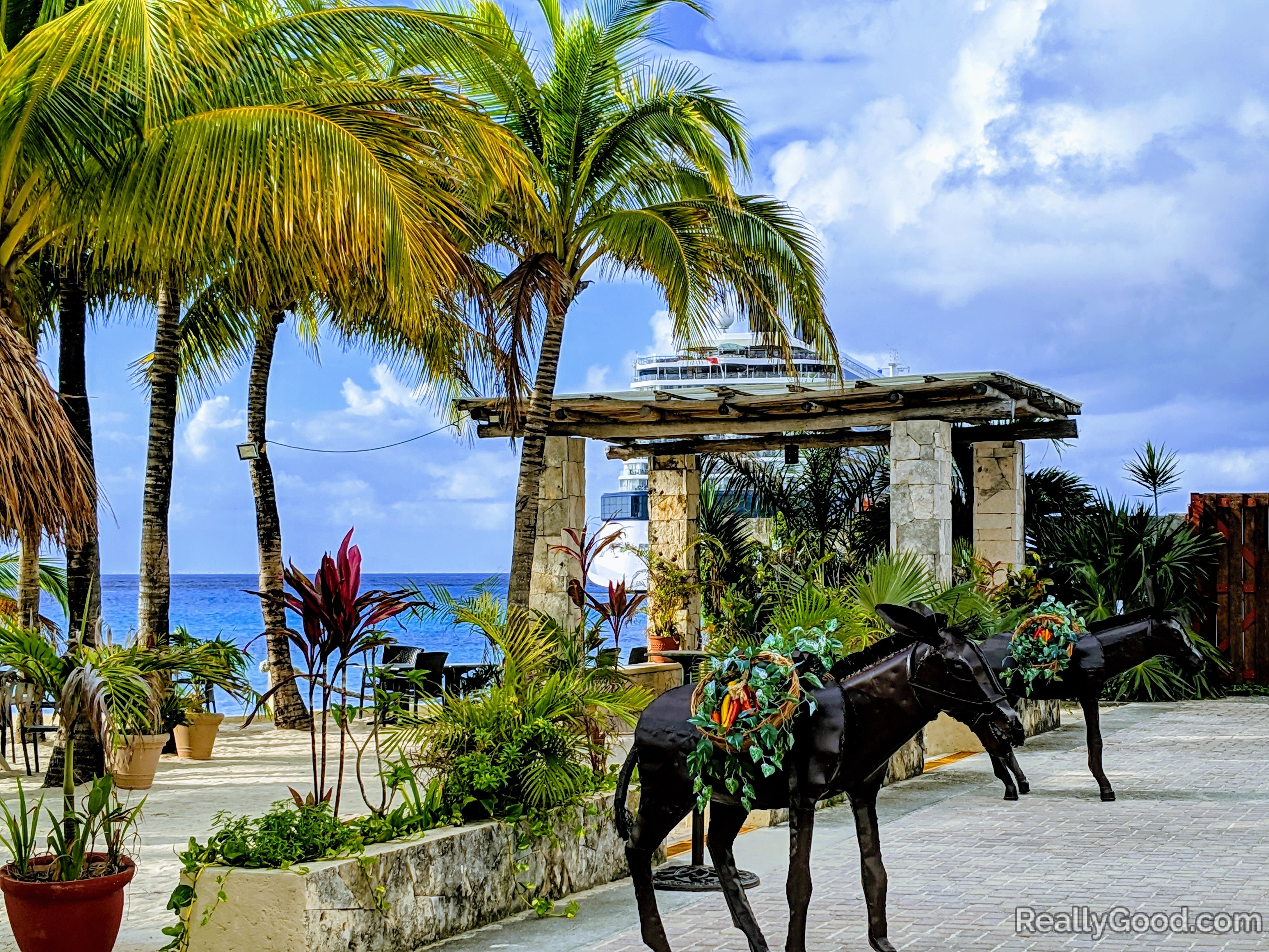 Cozumel cruise port