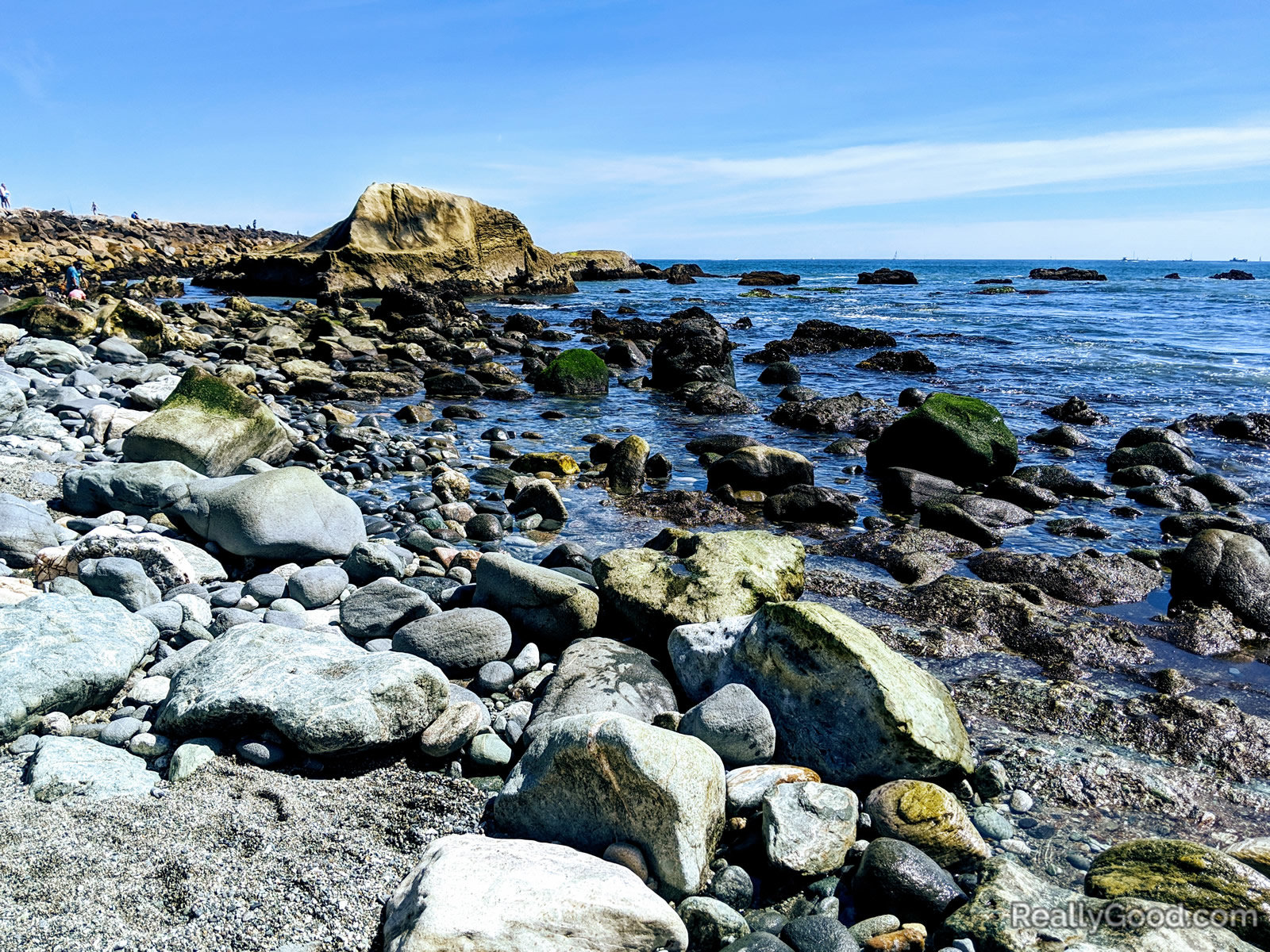 Dana Point tidepools