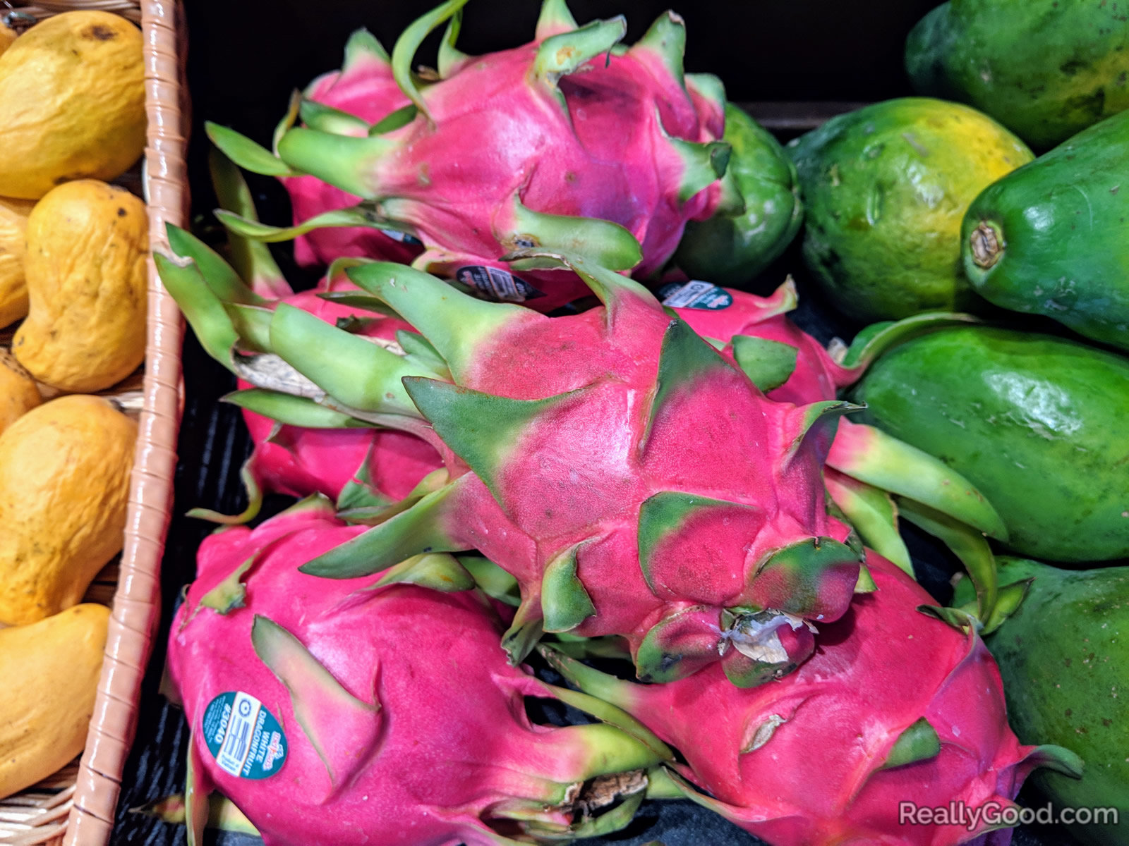 Dragon fruit