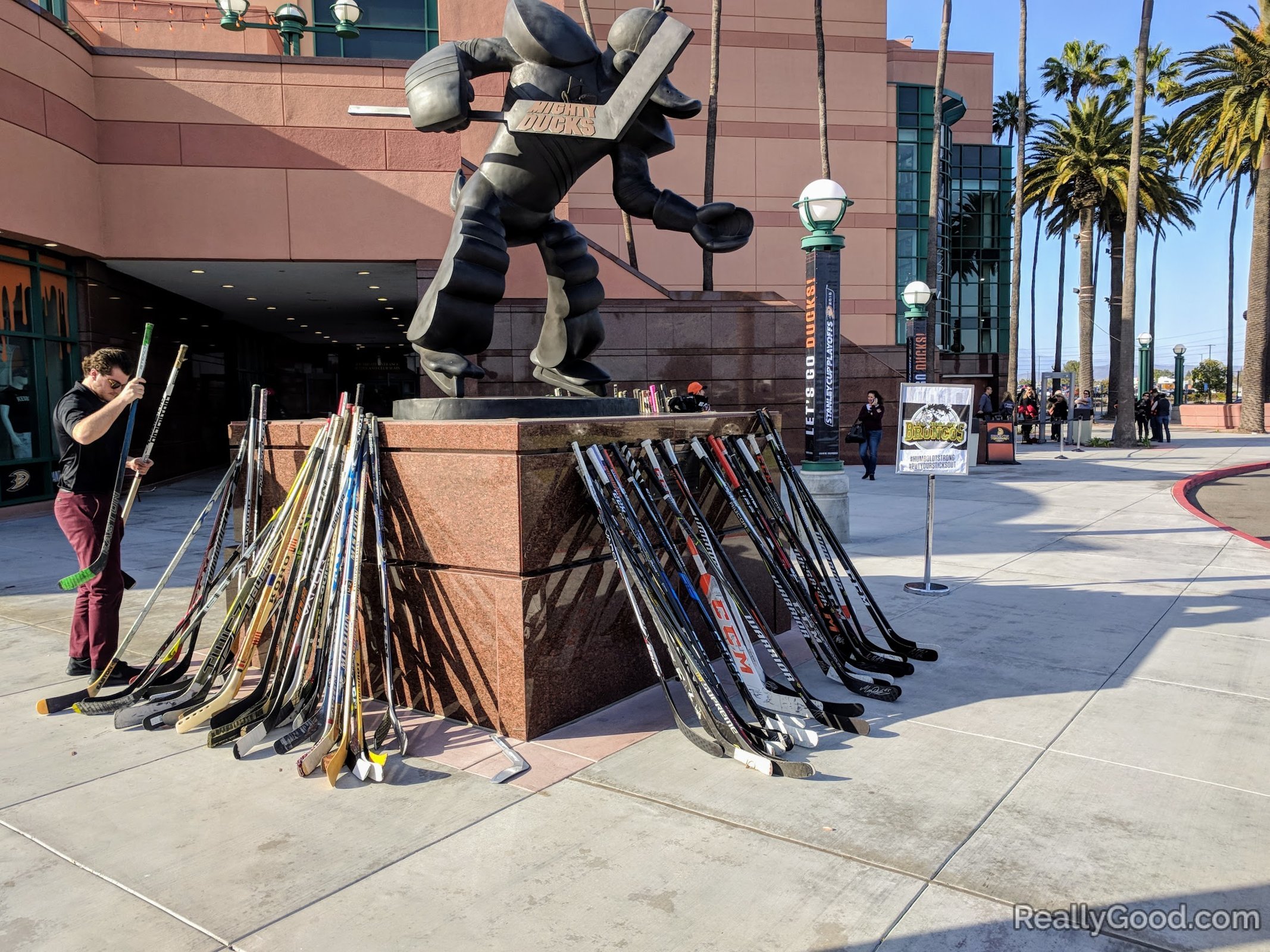 Ducks honor Canadian Hockey team