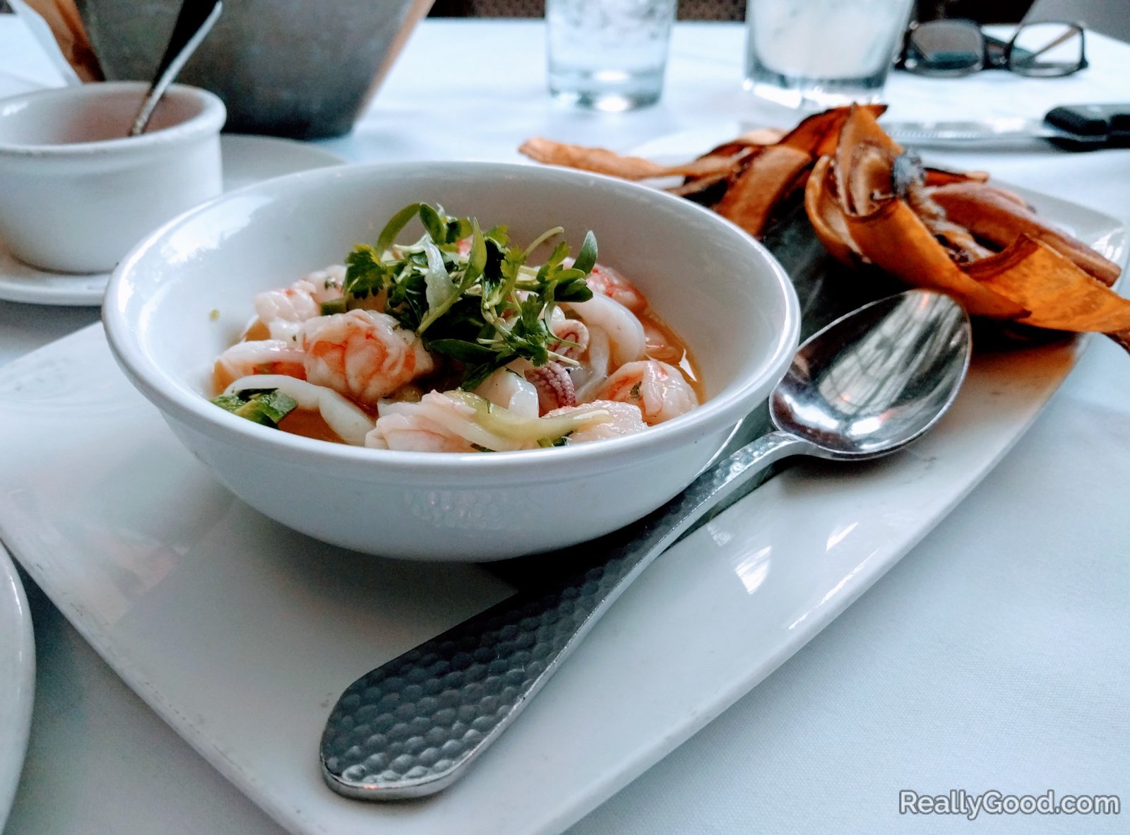 Fish and Shrimp Ceviche with Plantain Chips