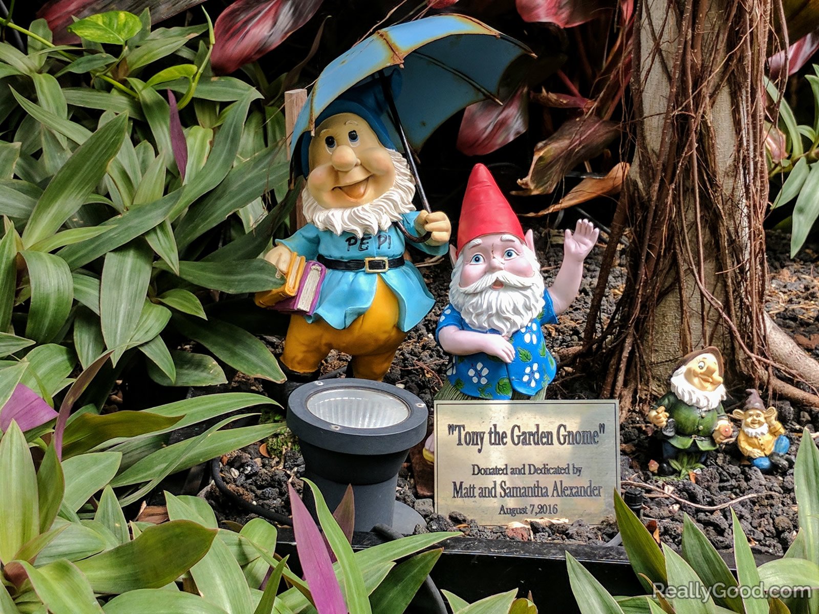 Garden gnomes