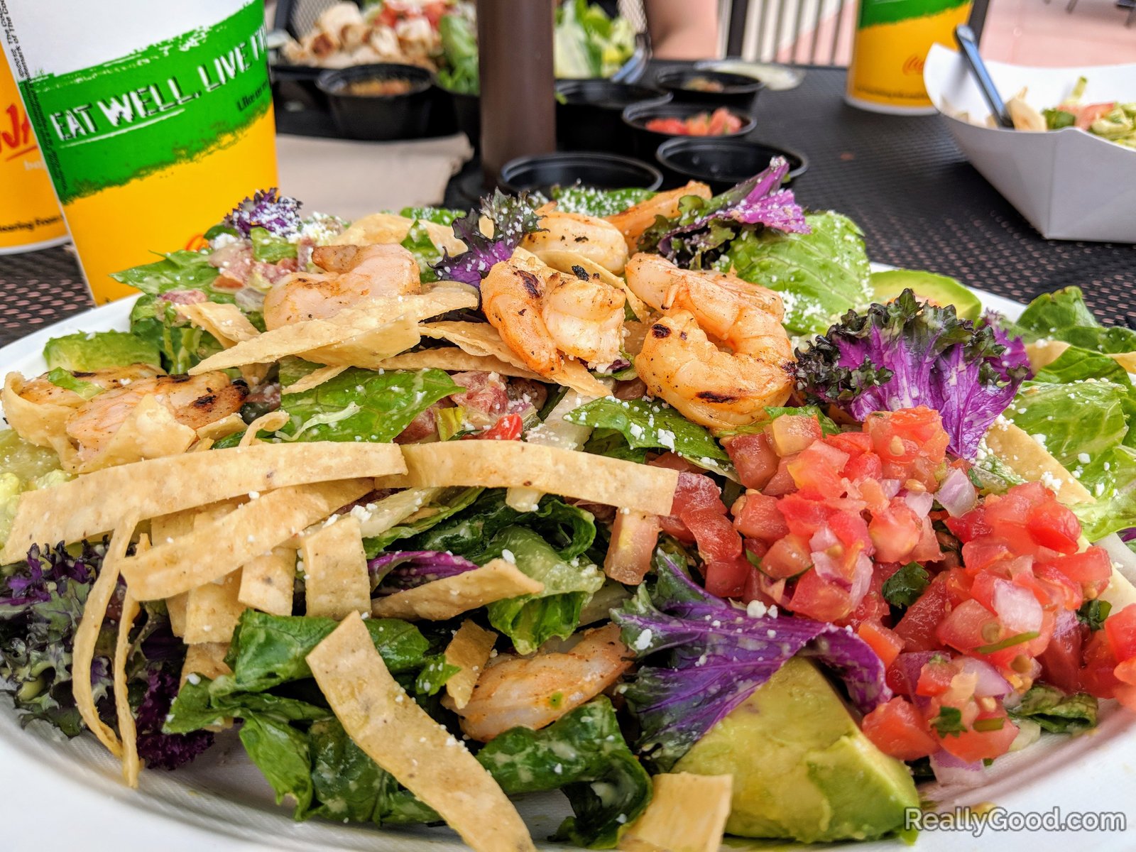 Grilled shrimp salad