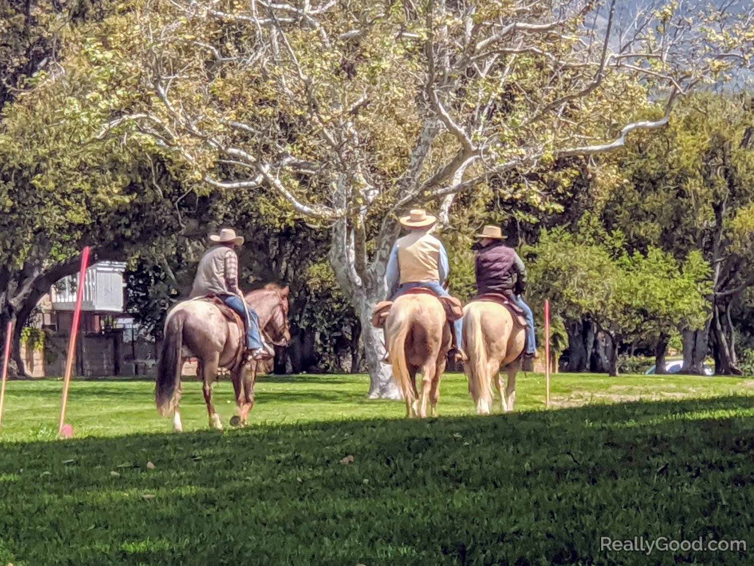 Horseback riders