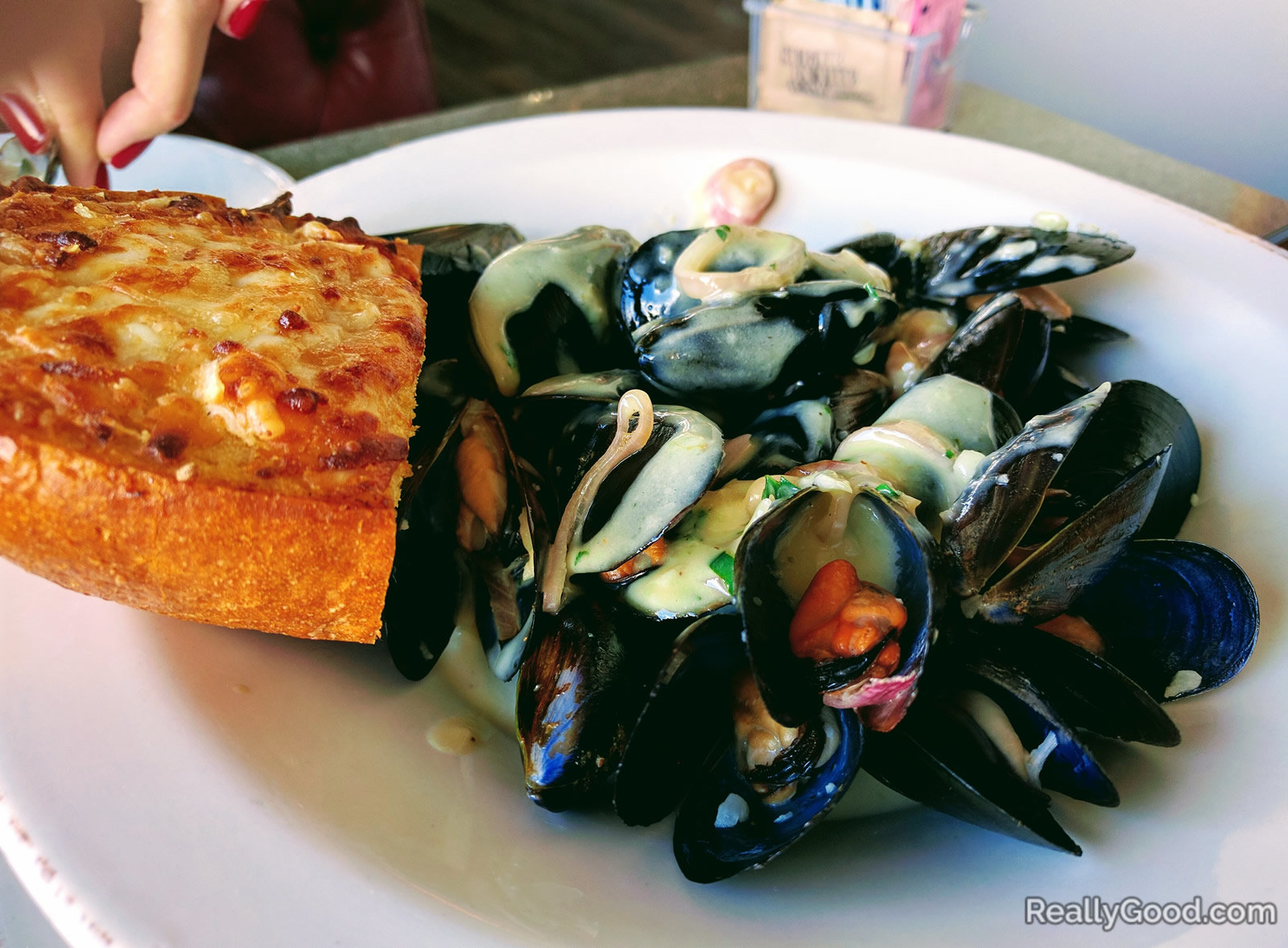 Mussels