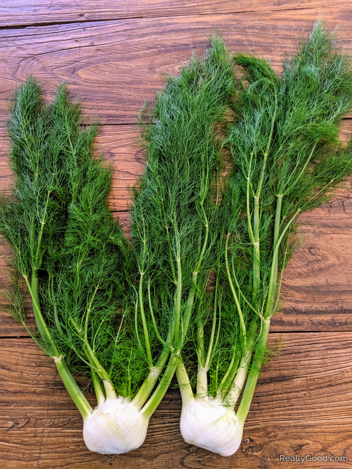 Organic fennel