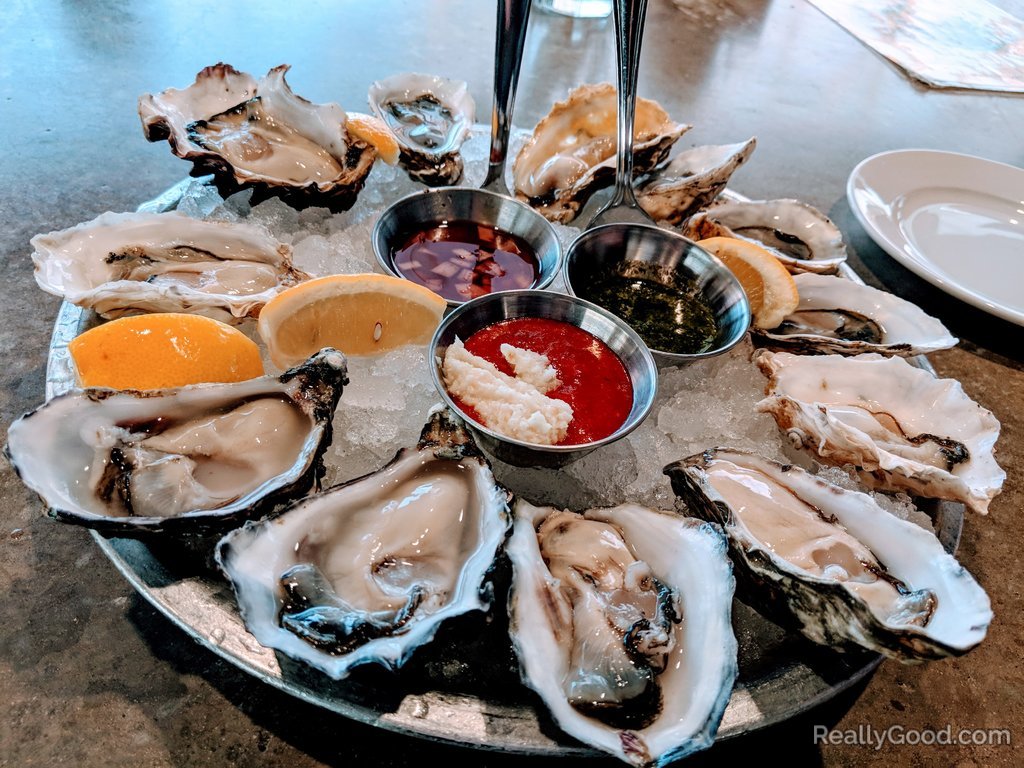 Oysters