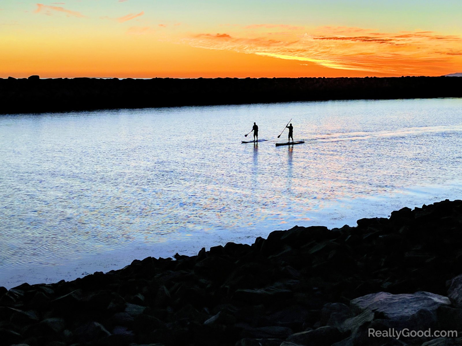 Paddleboarders