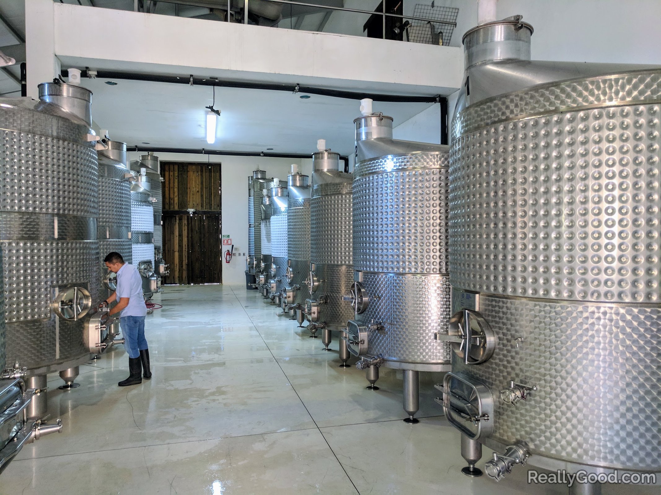 Stainless steel fermentation vessels