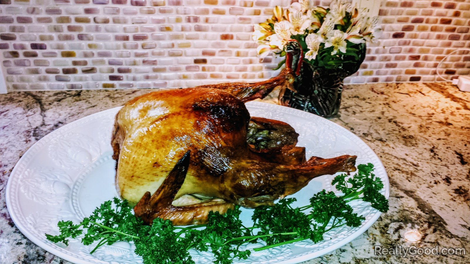 Thanksgiving Turkey 2013