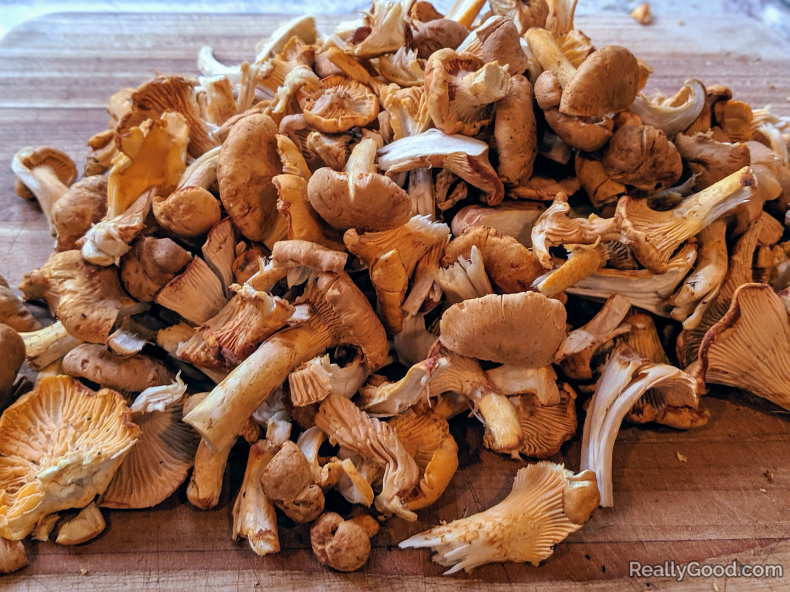 Wild Chantrelle mushrooms