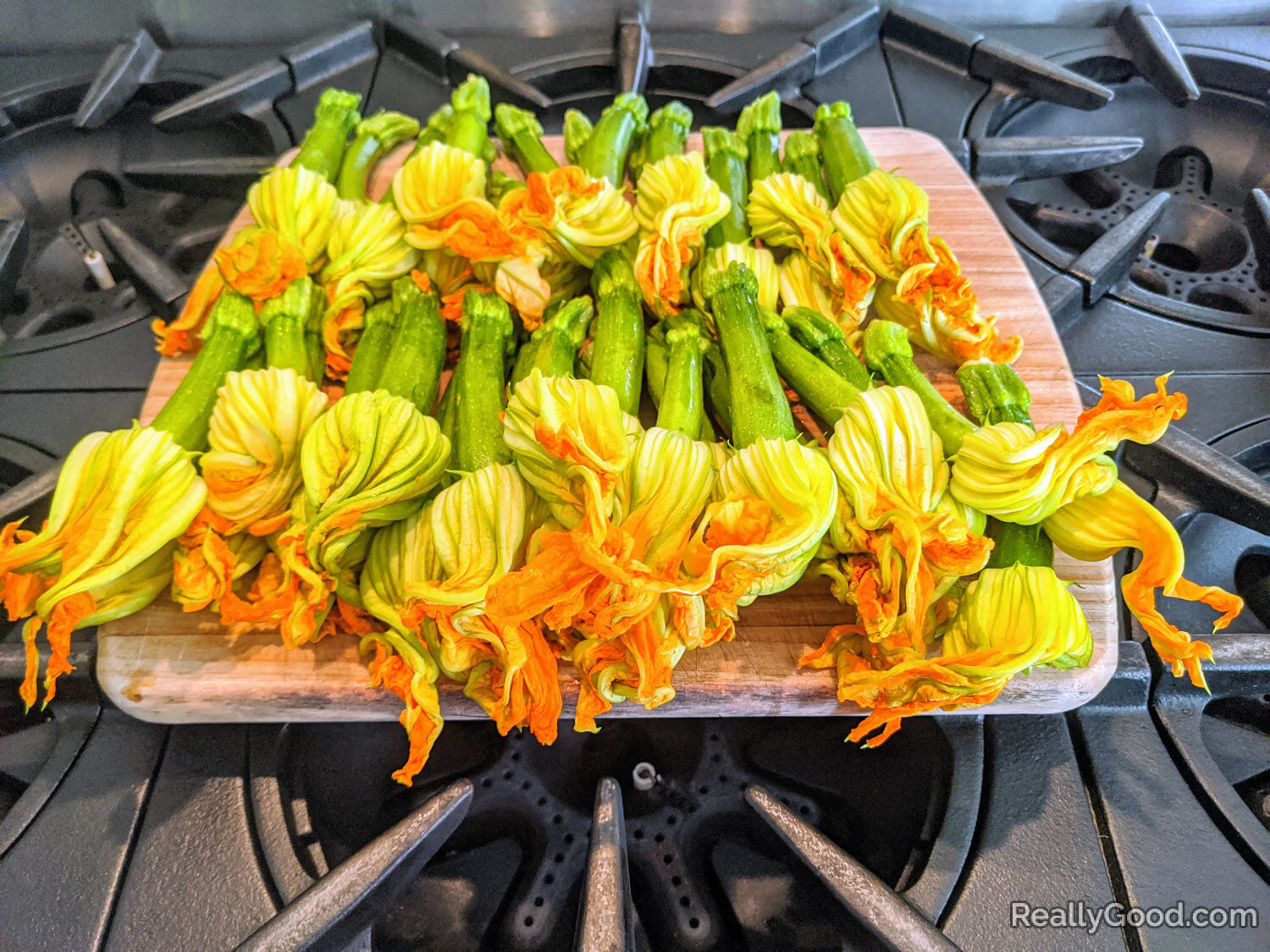 Zucchini blossoms