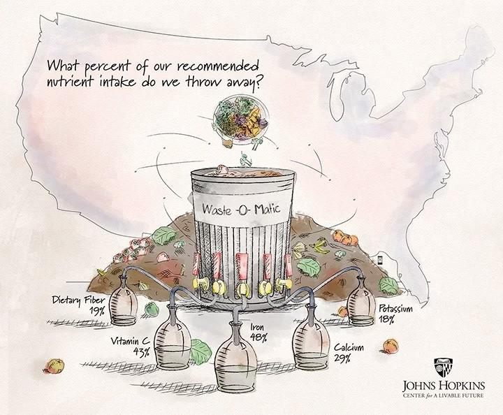 Food waste in America