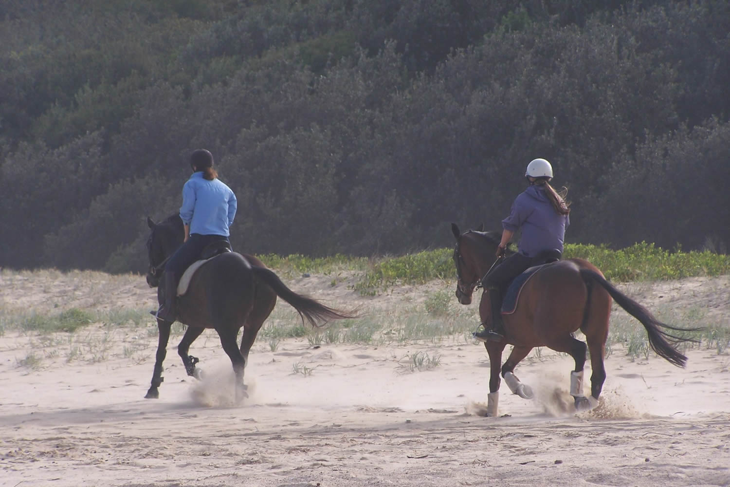 Is Horse Riding More Dangerous Than Soccer