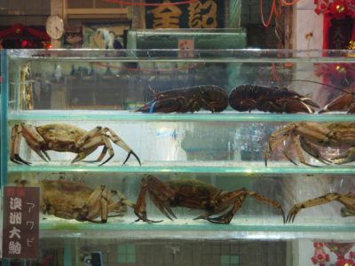 The secret life of lobster (trade): Could we be in hot water?