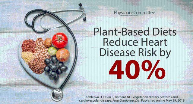 New Review Highlights Benefits Of Plant Based Diets For Heart Health 5690